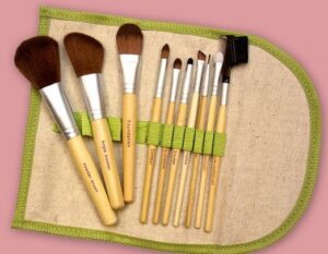 Eco-Friendly Makeup Brush Set Only $13.99!
