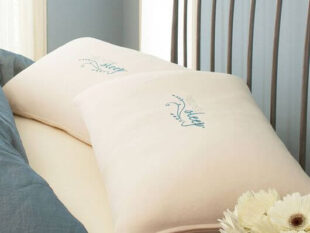 Two Nature’s Sleep Pillows for Only $79 Shipped!