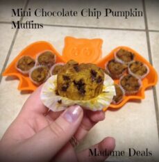Kid Muffin Recipes: Mini Chocolate Chip Pumpkin Muffins Recipe