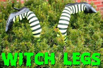 witchlegs2f