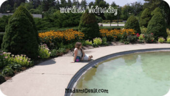 Wordless Wednesday – Take Time to Think