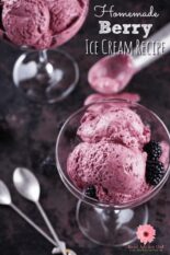 Homemade Berry Ice Cream Recipe for Kids