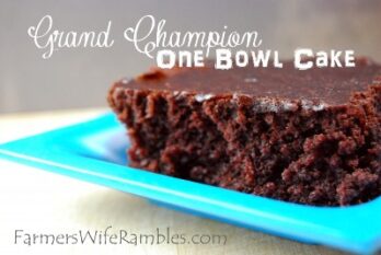 Grand Champion Chocolate Cake