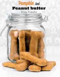 This is our favorite healthy dog treat recipe that uses both pumpkin and peanut butter. 