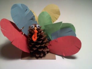 Turkey-Craft-Finished-1-300x225