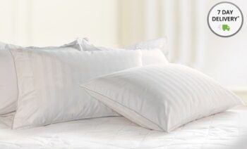 2-Pack of Dreamcloud 1,000TC Gel Fiber Pillows $39.99 Shipped!