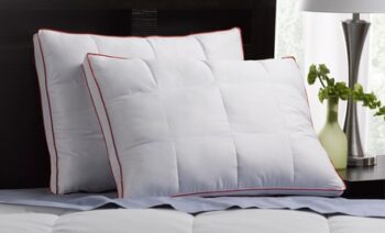 Goose Feather Tri-Density Pillow 65% Off
