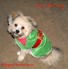 My Dog is an Alpo Dog, Is Yours?