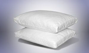 Quilted Feather Pillows