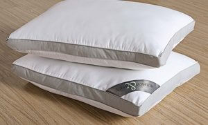 Hudson & Essex Cotton Hypoallergenic Down-Alternative Pillows