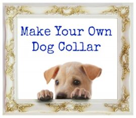 Make Your Own Dog Collar