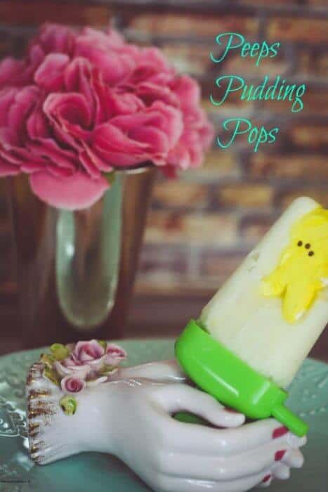 Frozen Pudding Pops Recipe