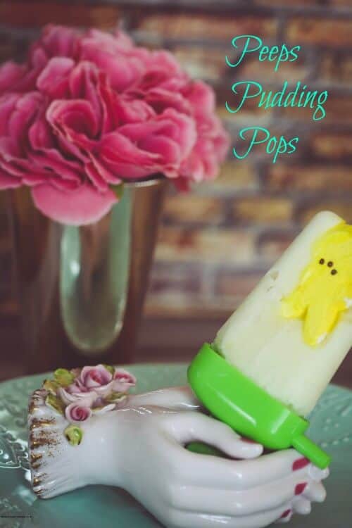 frozen pudding pop