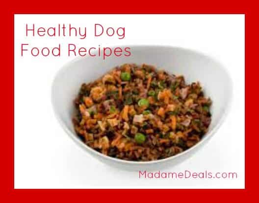 health dog food recipes