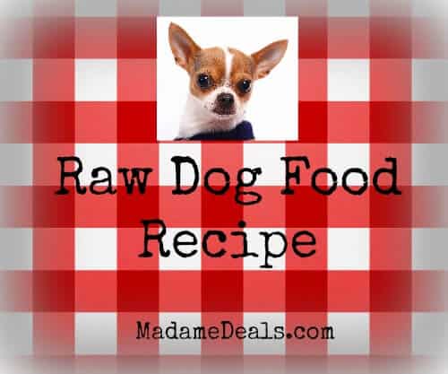 raw dog food recipe