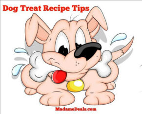 Healthy Dog Treat Recipes Tips