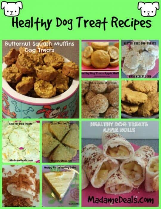 Healthy Dog Treat Recipes