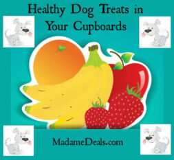 Healthy Dog Treats in Your Cupboard