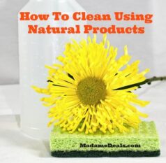 How to Clean Using Natural Products