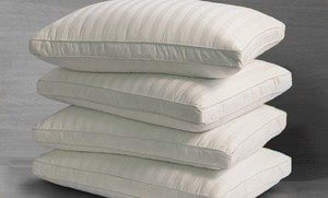 Royal Luxe 350 Thread-Count Queen Pillows