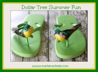 Dollar Tree Summer Fun: Your Flip-Flop Craft May Win $500