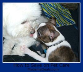 How To Save on Pet Care