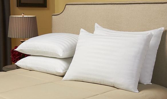 jumbo pillows