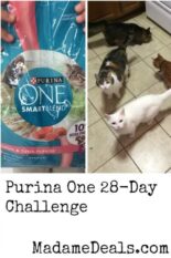 The Purina ONE® 28 Challenge