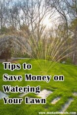 How To Save On Lawn & Garden Watering