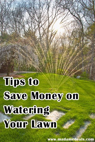 Don't miss our tips for How to Save on Lawn & Garden Watering this year!  Your lawn can be beautifully lush and green despite the budget and area! 
