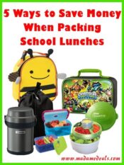 5 Ways to Save Money When Packing School Lunches