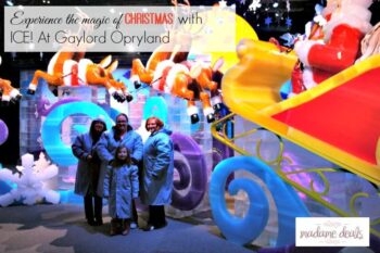 Experience the magic of Christmas with ICE! At Gaylord Opryland