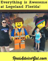Everything Is Awesome At Legoland Florida!