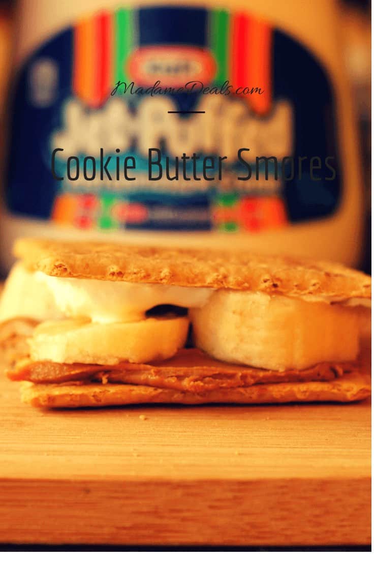 Fun Kids Dessert Recipes – Cookie Butter Smores
