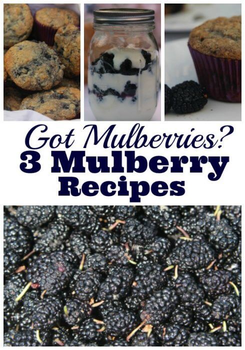 Got mulberries then you need a mulberry recipe. We have muffins, parfait and smoothie.
