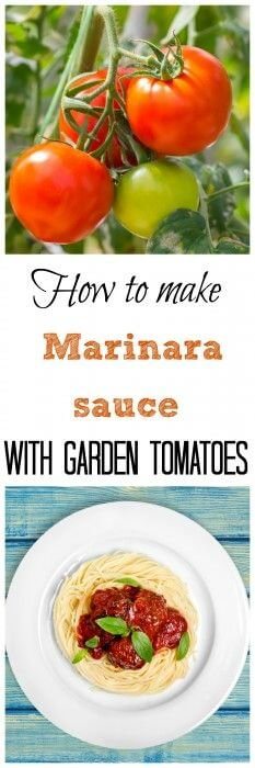 Homemade Marinara Sauce With Garden Tomatoes Recipe