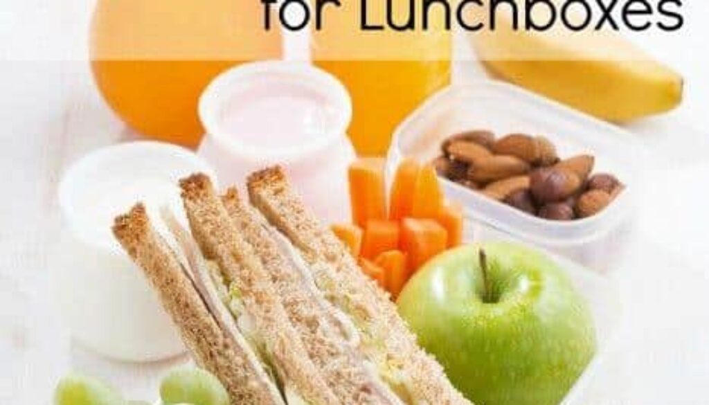 15 Healthy Snacks for Lunchboxes