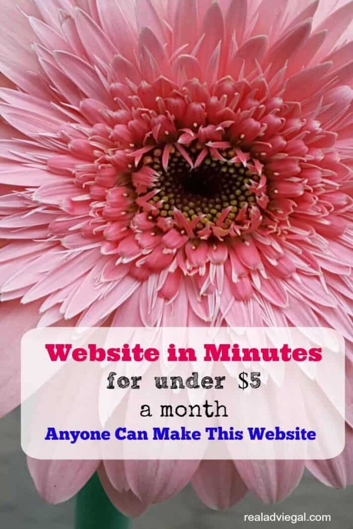 A Website for Under $10
