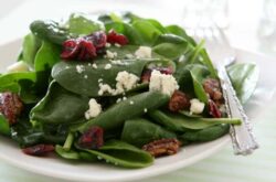 Spring Spinach Salad Recipe
