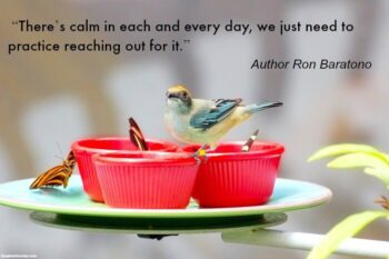 Karla’s Korner – Keep Calm: Lessons from a Little Bird