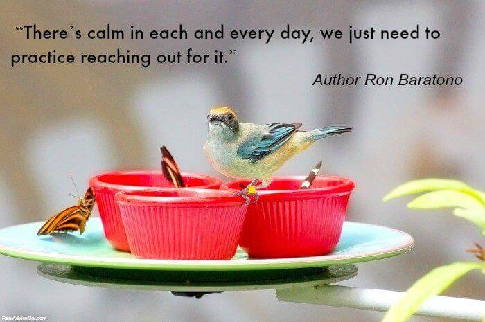 Karla’s Korner – Keep Calm: Lessons from a Little Bird