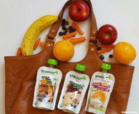 Real, Honest and Pure Sprout Organic Baby Foods