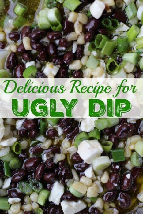 A delicious recipe for ugly dip with black beans, white corn, scallions and feta cheese. It's a good dip for pot lucks and parties.