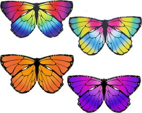 Fairy Butterfly Wings