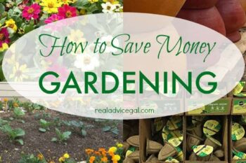 How to save money gardening