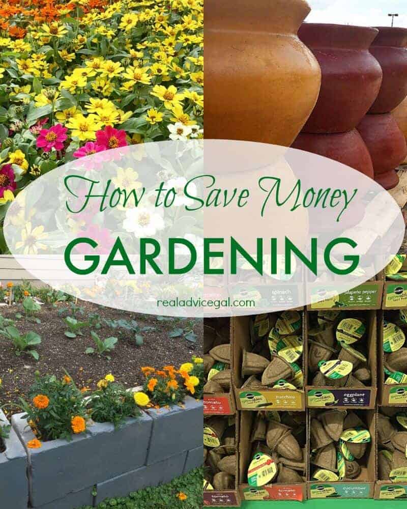 How to save money gardening