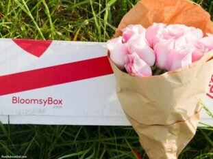 Bloomsy Box Review