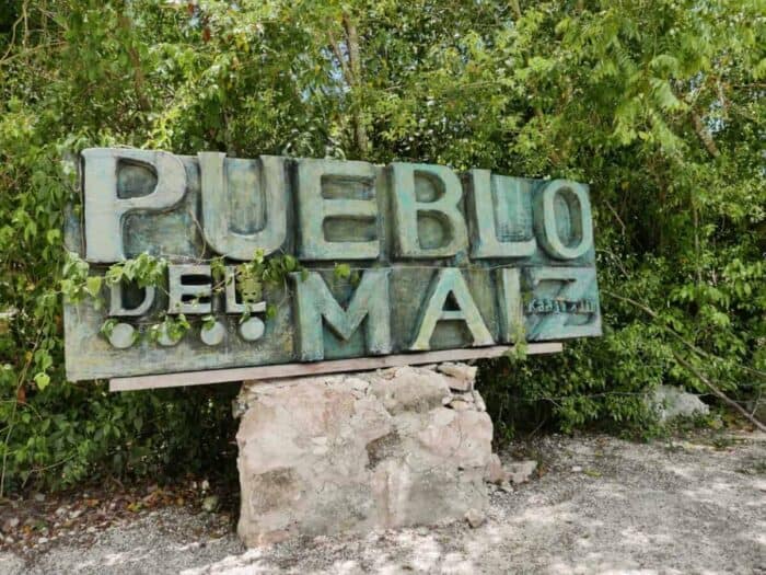 The Ultimate Guide to Educational Activities in Mexico