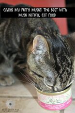Giving My Furry Muses The Best With Muse Natural Cat Food
