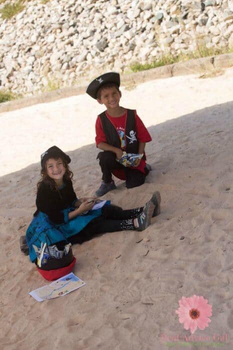 Pirate Party
